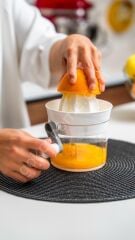 BEST UND BEST COMPROX PRATİK NARENCİYE SIKACAĞI